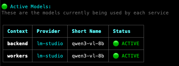 Qwen3-VL configured with LM Studio for backend and workers