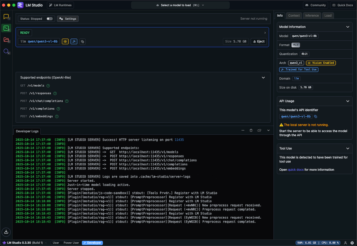 LM Studio Developer View